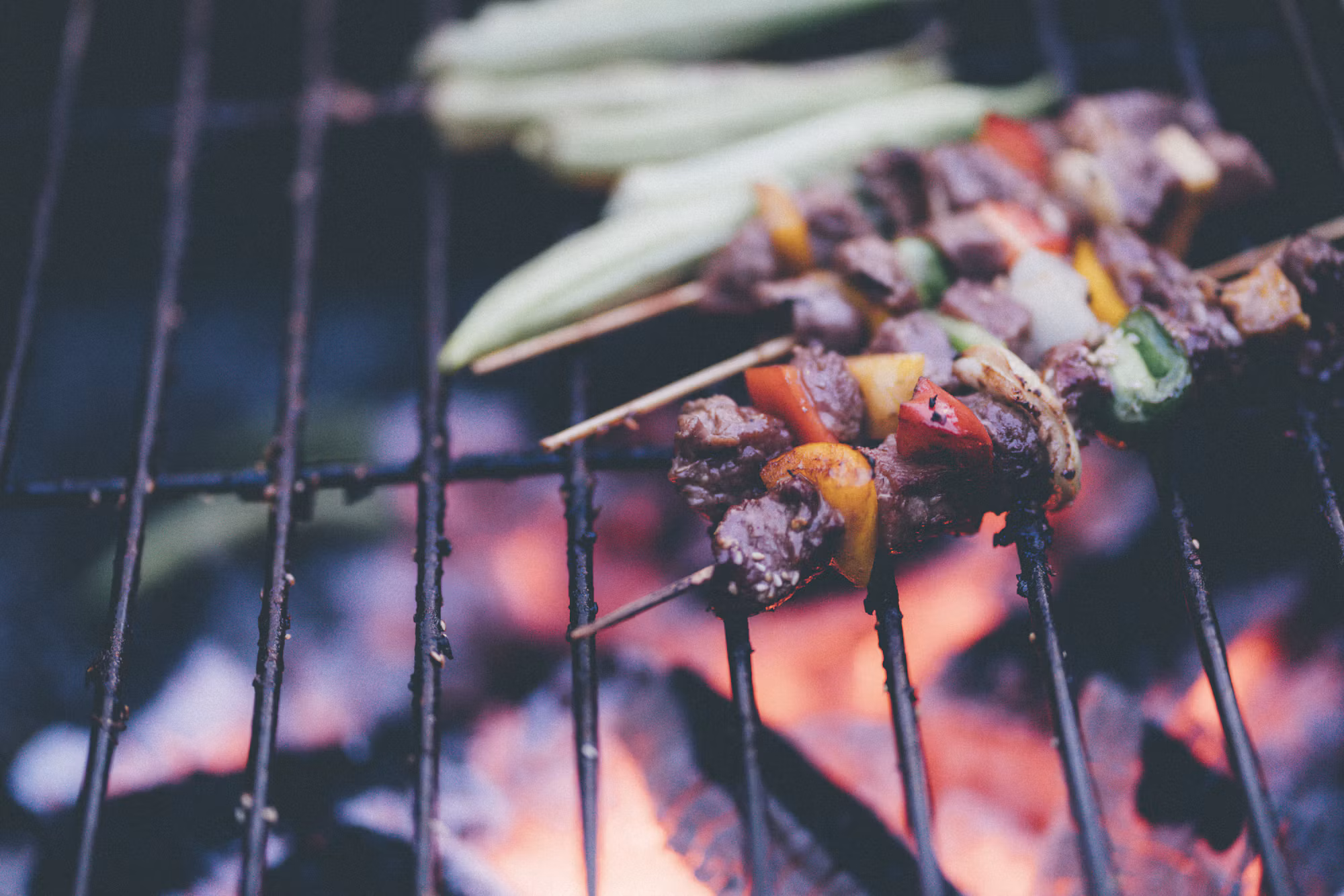 Meat and Seafood: A World of Flavor on Your Plate
